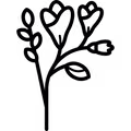 Çiçekler ve Bahçe Bitkileri