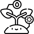 Tohum Oluşumu ve Fide Gelişimi