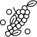Hububat ve Tahıllar
